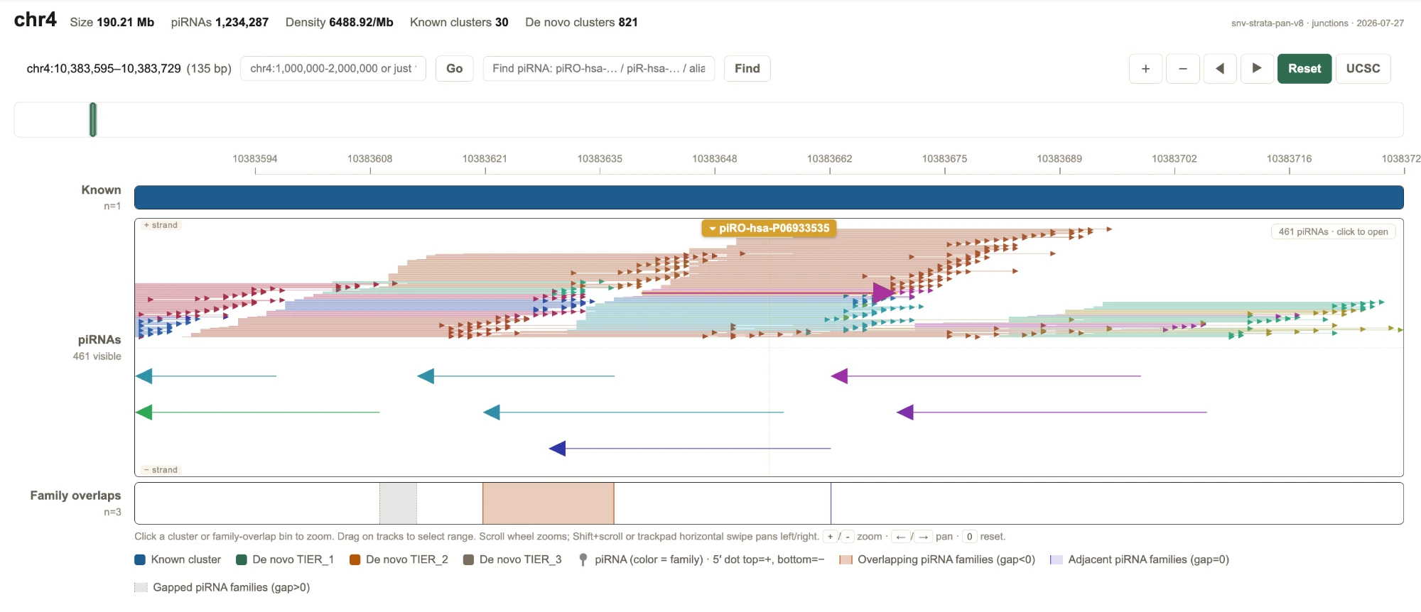Genome browser — base level with Find piRNA